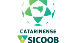 Catarinense - 1 logo