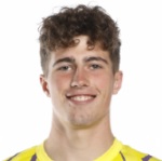 Aron van