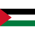 Away team Palestine logo. China vs Palestine predictions and betting tips