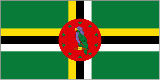 Away team logo