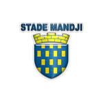 Home Team Logo