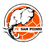 Home Team Logo