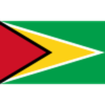 Away team Guyana logo. Bermuda vs Guyana predictions and betting tips